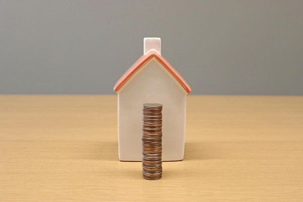 What Are the Most Popular Pet Breeds in the UK Today?