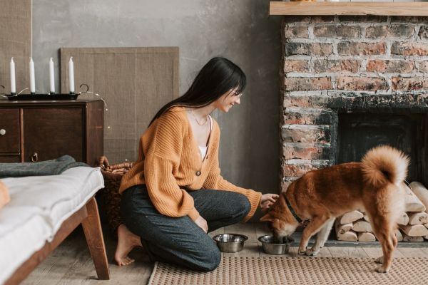 How Can You Transform Your Home to Be More Pet-Friendly?