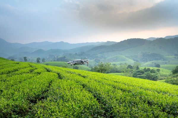 How Is Artificial Intelligence Being Used in UK Agriculture?